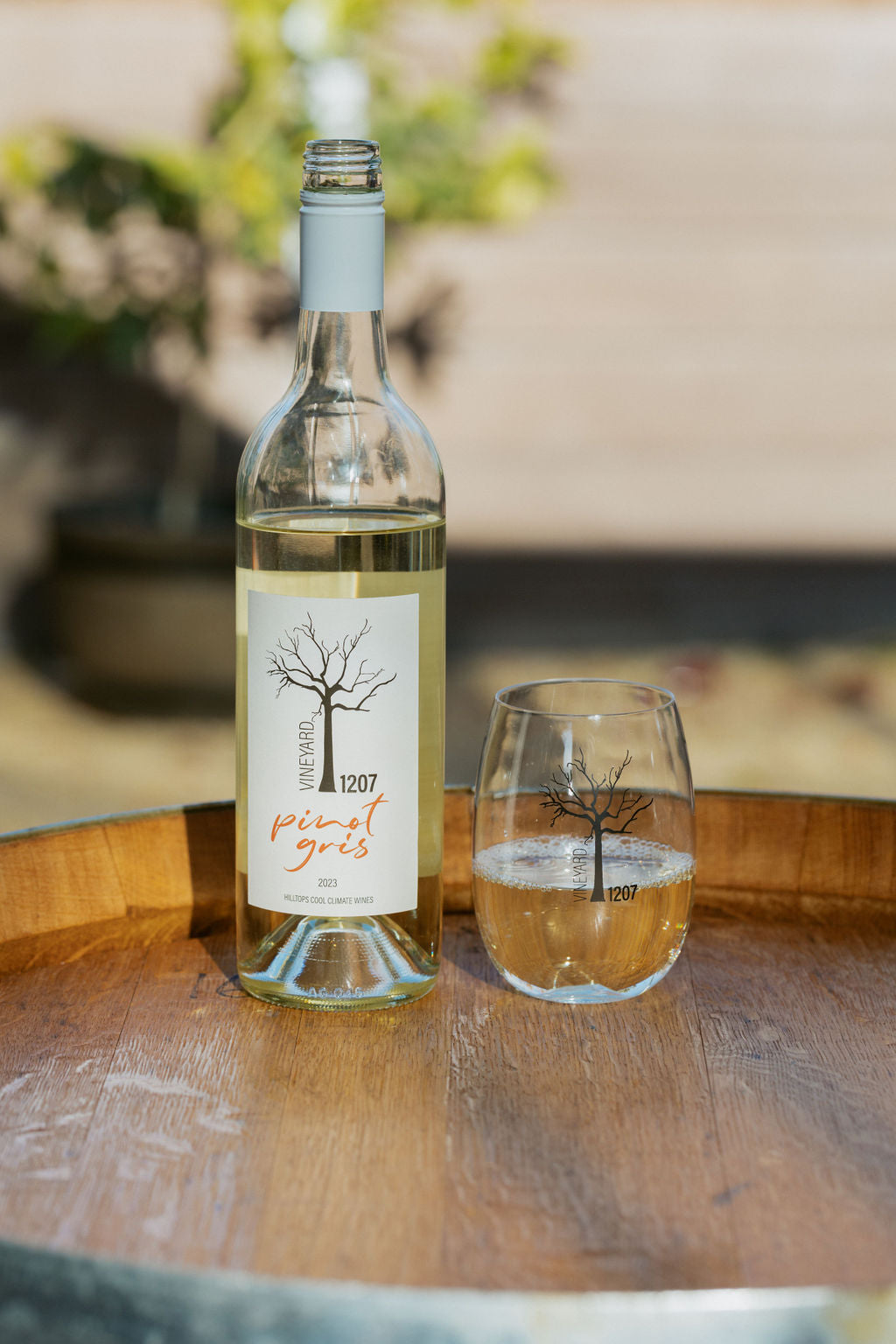 Pinot Gris 23